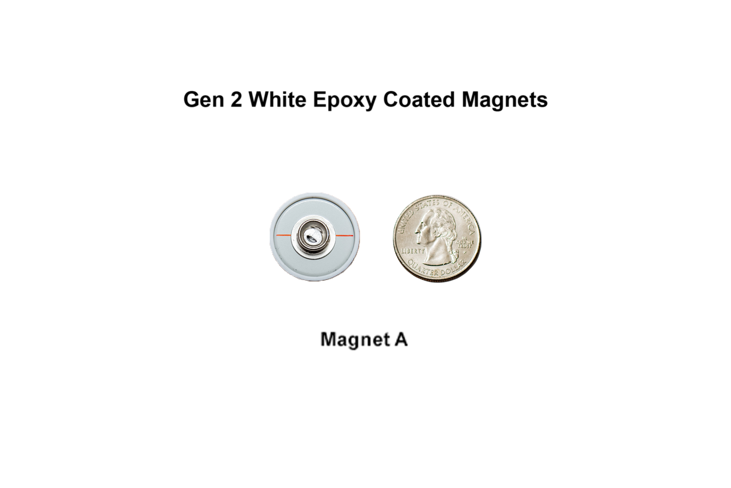 Gen 2 Magnet - 12 Pack